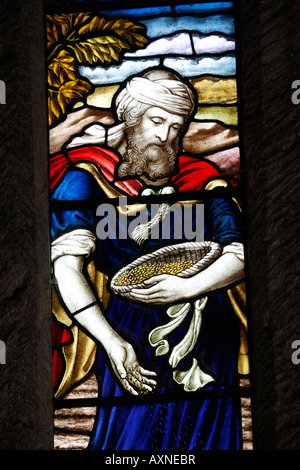 Stained Glass Window depicting The Parable of the Sower. St. George`s Church, Brailes, Warwickshire, England Stock Photo